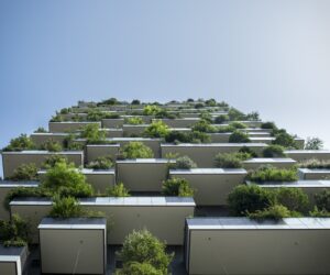 Wie begrüne ich meinen Balkon?