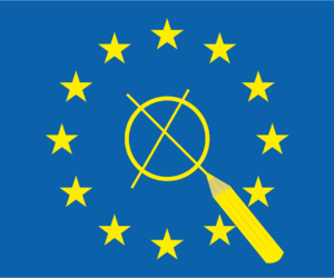 Europawahl - Das Wahlprozedere