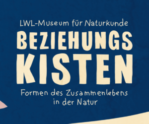 Ausstellung "Beziehungskisten" im Naturkundemuseum