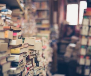 Buchtipps für Weihnachten