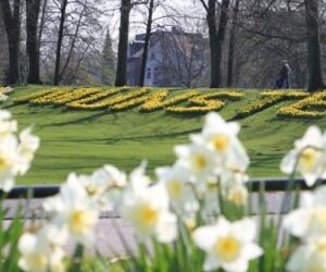 Münster bekennt Farbe