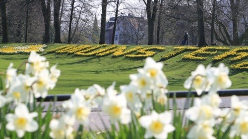 Münster bekennt Farbe