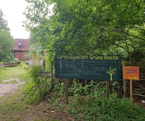 Urban Gardening Projekte in Münster