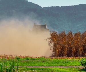 Landwirtschaft: Das Problem mit der Trockenheit