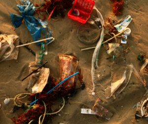 Plastikmüll im Meer vermeiden