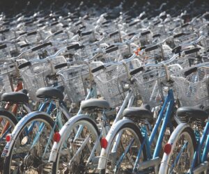 Kulturschock in der Fahrradstadt