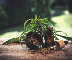 CBD Öl - Trend oder Wunderheilmittel