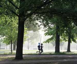 Wie ihr Sport und Umweltschutz verbinden könnt