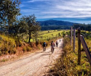 Bikepacking – Mit dem Fahrrad durch die Wildnis