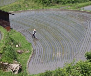 Tag des Dankes für die Arbeit in Japan