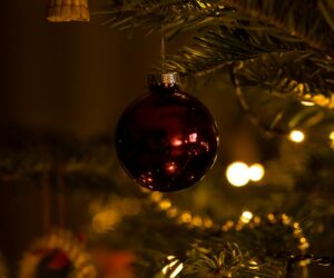 Stille Nacht (für immer) - ein nicht ganz so weihnachtlicher Weihnachtsfilm
