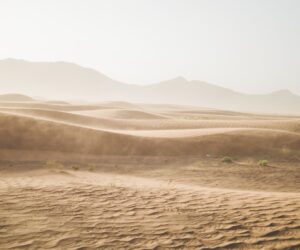 Musik der Tuareg