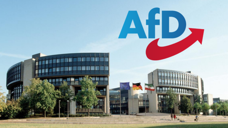 Die AfD im Wahlprogrammcheck