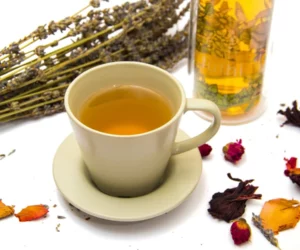 The Tea Is Healthy - Tee wie er wirkt und belebt