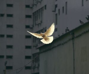 "Hallo!" zum Welt-Hallo-Tag