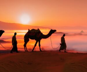 Bandportrait Mdou Moctar