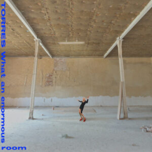 TORRES - What an enormous room