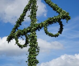 Midsommar: So wird der längste Tag gefeiert