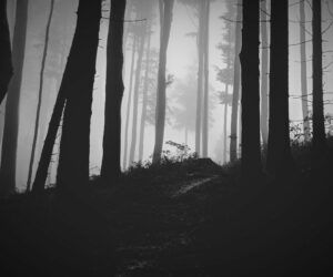 Folge 41: Holly Jackson - A Good Girl's Guide to Murder