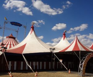 Zirkus - Vergnügen mit Schattenseiten