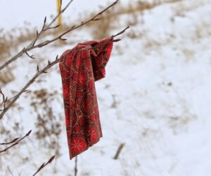 Vergessene Nachrichten und die Initiative Nachrichtenaufklärung