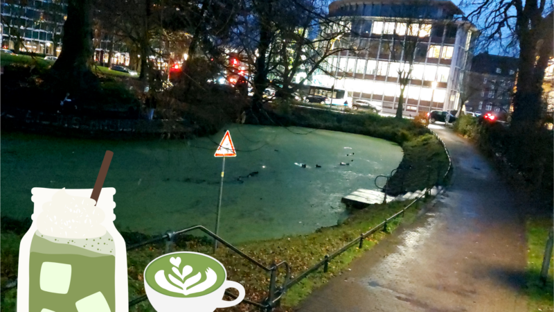 Matcha im Herzen von Münster