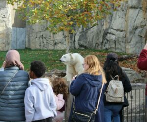 Zoos im Jahr 2024 - ein Kommentar