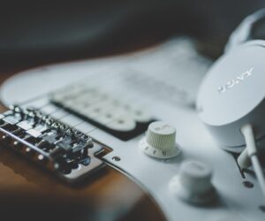 Künstlerporträt - Buntspecht