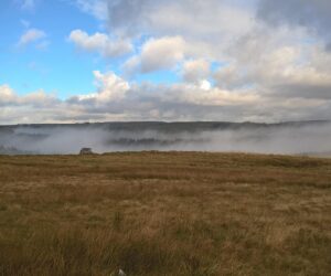 Folge 58: Emily Brontë - Sturmhöhe