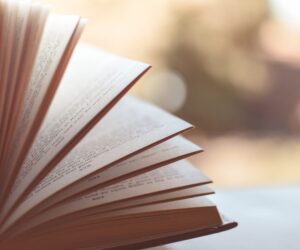 Die Bücherverbannungen und das Banned Books Network Münster